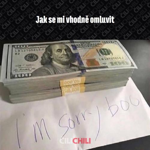 Omluvit se