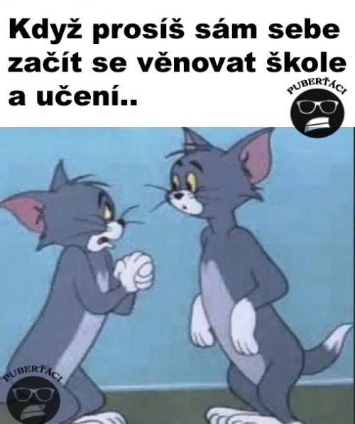  Učení 