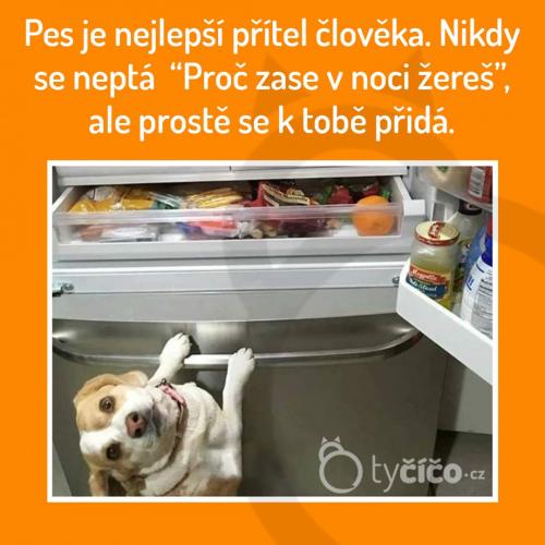 Zase žereš