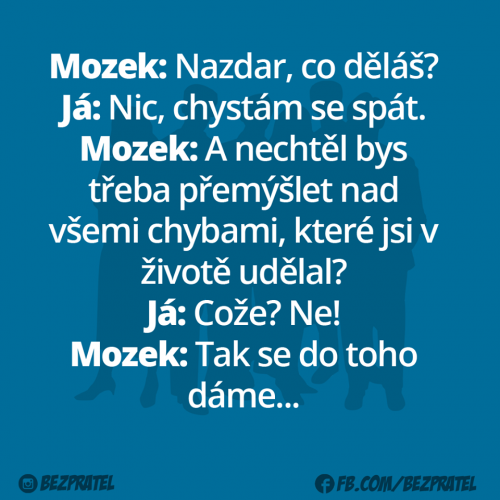  Mozek 