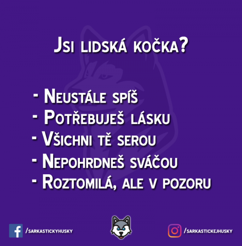Označ nějakou kočku