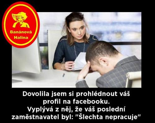 Prohledávka