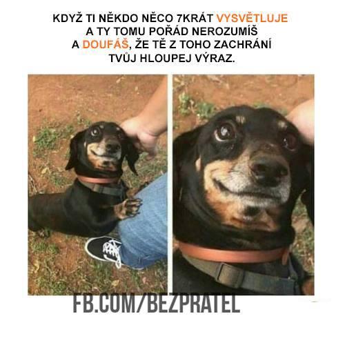  Vysvětlení 