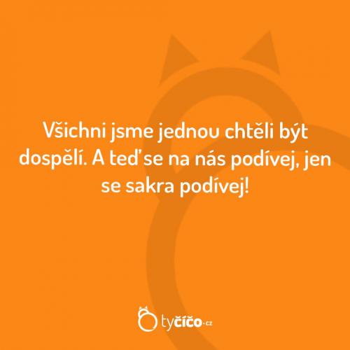  Tohle jsme chtěli všichni 