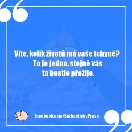  Kolik životuů 