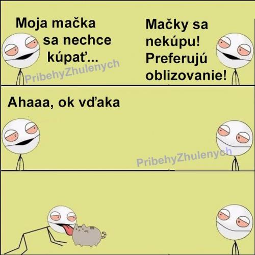  Kočka 