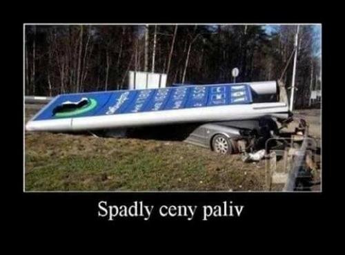 Paliv