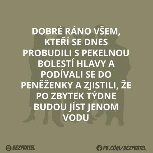 Potěší