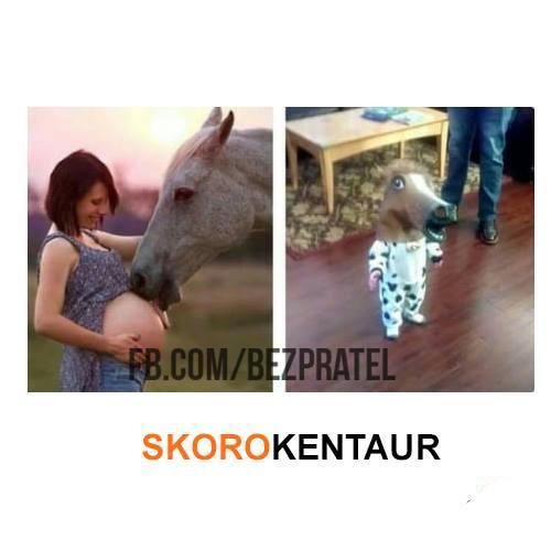 Skorokentaur