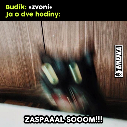  Budík 