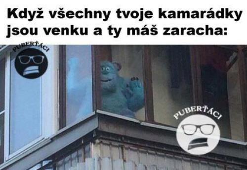 Zaracha