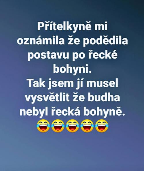  Přítelkyně 