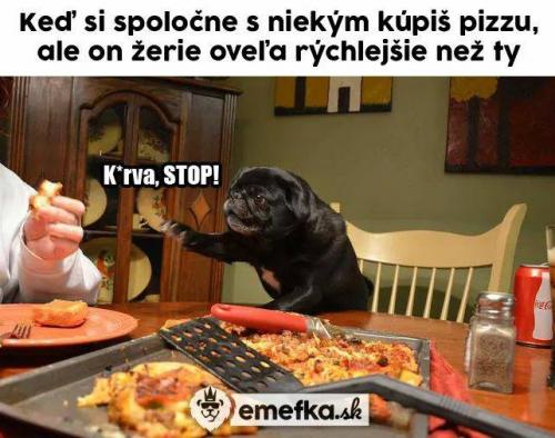 Nesnáším