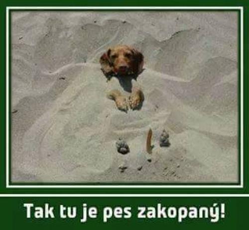 Zakopaný
