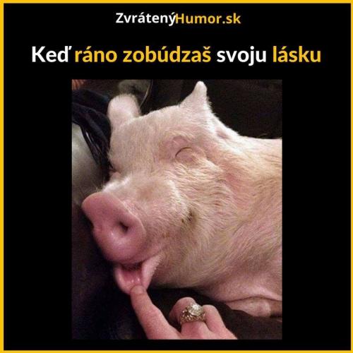  Moje láska 