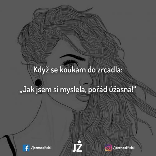 Zradlo