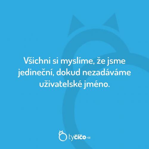  Uživatelské jméno 