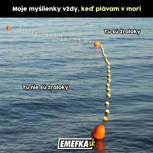 Je to tak rozdělené Je to tak rozdělené