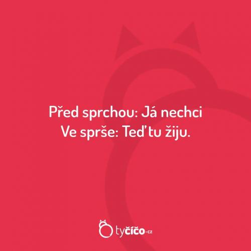 Ve sprše