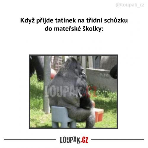  Asi je to trošku jiné 