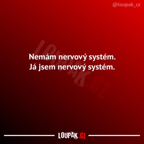  Systém 