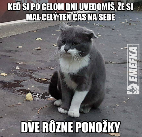  Ponožky 