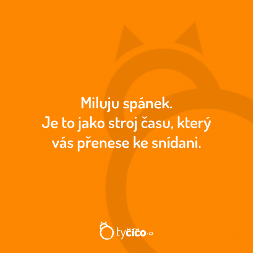  Spánek 