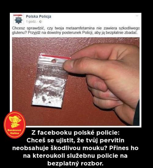  Polská policie 