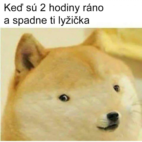 Já iniiic