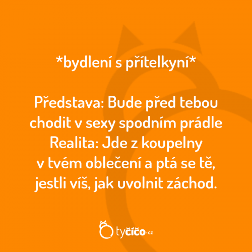  Přítelkyně 