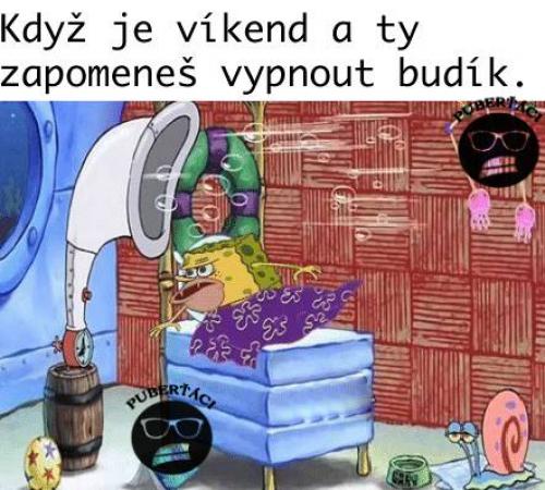  Budík 