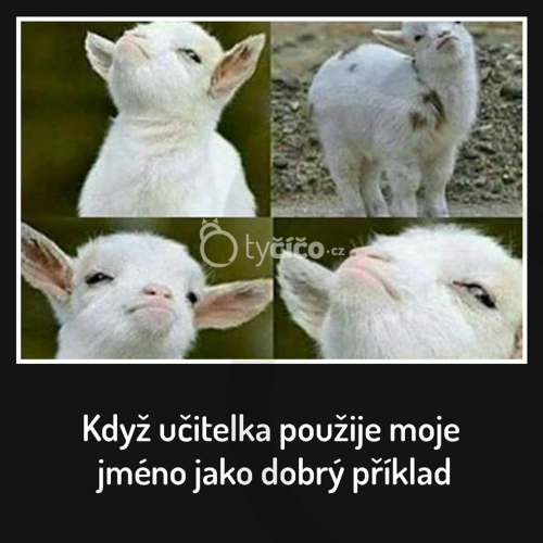  DObrý příklad 