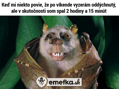  Spánek 