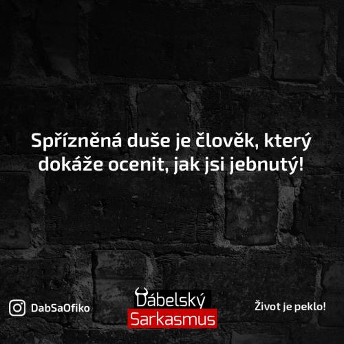 Dušička