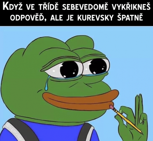  Odpověď 