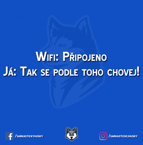 Platím tě tak funguj!