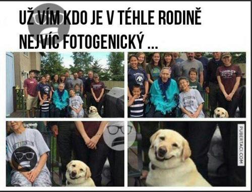 Fotogenický