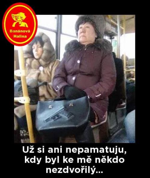 Nezdvořilý