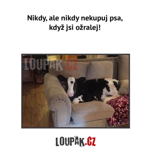 Ožralej