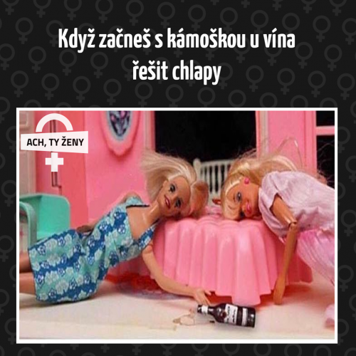  Kámoška 