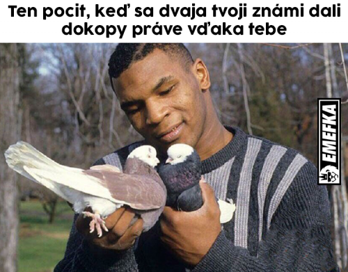 Dohazovač