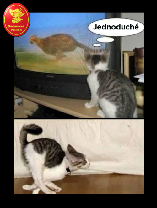  Jednoduché 