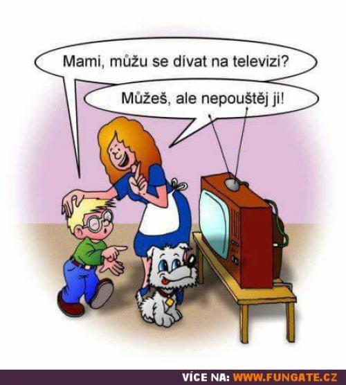  Televize 