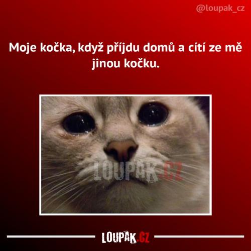  To asi moc nepotěší 