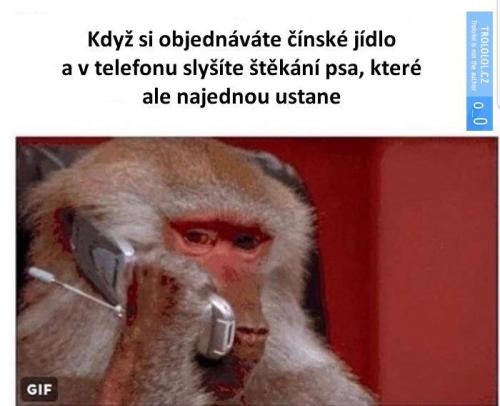  Když si objednáte 