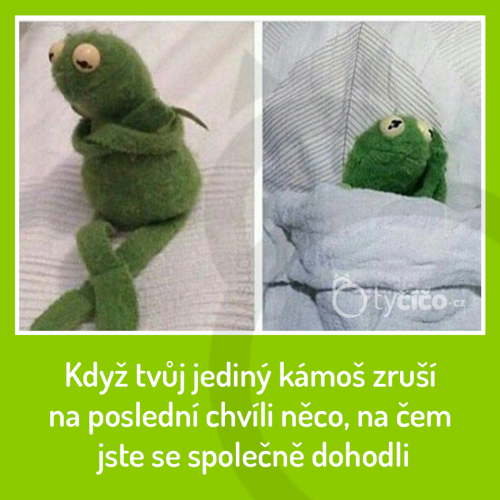  Jeidný kámoš 