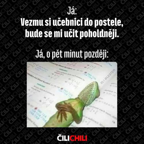  Učení 