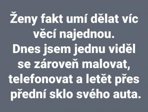  Věci 