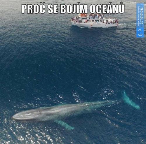  Proč se bojím oceánů 