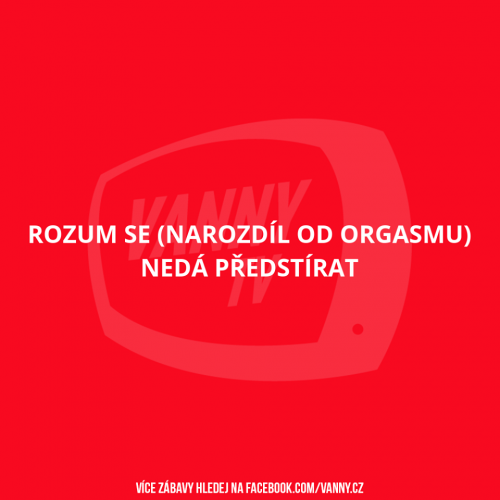  Rozum 